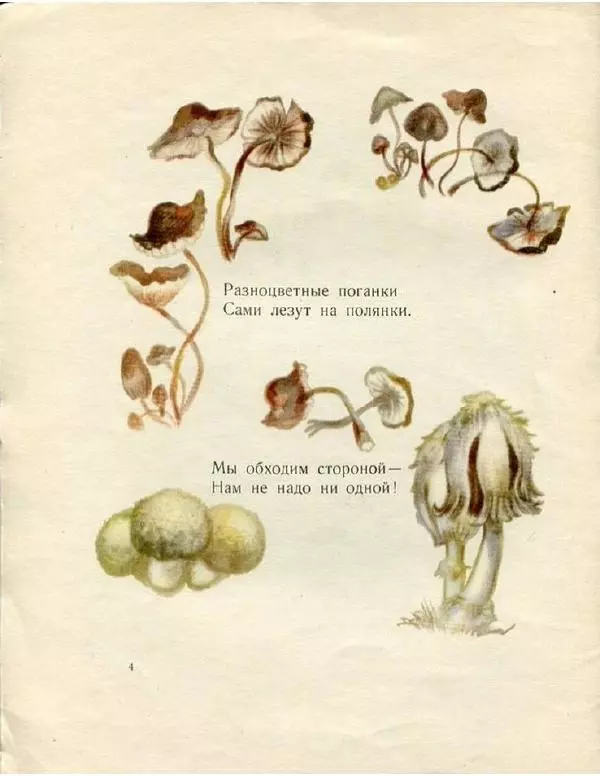 Евгения Трутнева - Грибы - Страница № 6