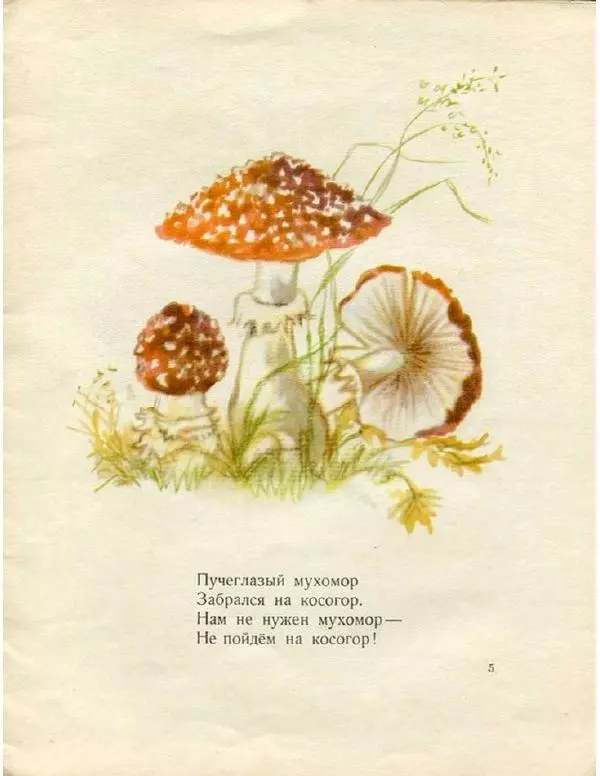 Евгения Трутнева - Грибы - Страница № 7