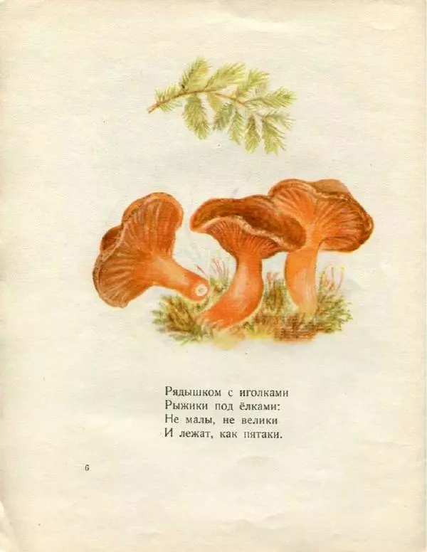 Евгения Трутнева - Грибы - Страница № 8