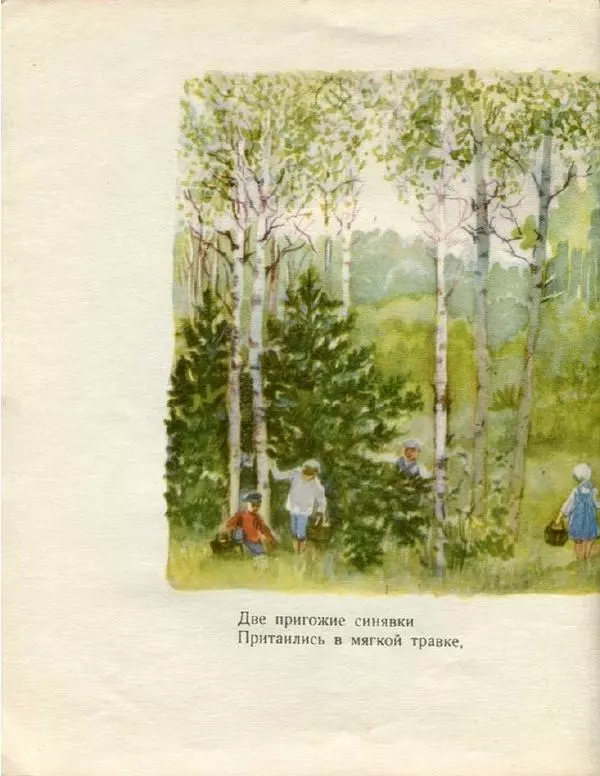 Евгения Трутнева - Грибы - Страница № 10