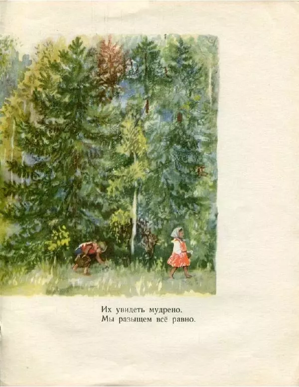 Евгения Трутнева - Грибы - Страница № 11