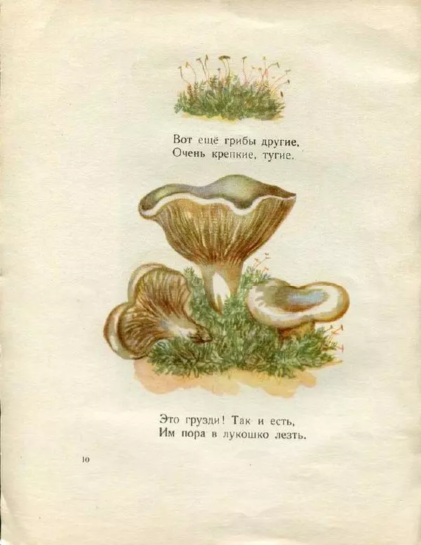 Евгения Трутнева - Грибы - Страница № 12