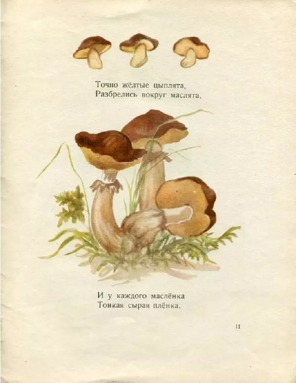Евгения Трутнева - Грибы - Страница № 13