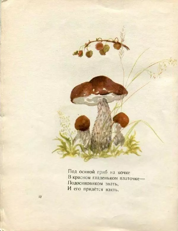 Евгения Трутнева - Грибы - Страница № 14