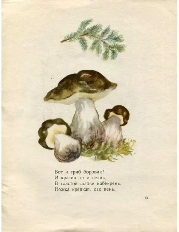 Евгения Трутнева - Грибы - Страница № 15