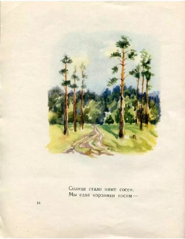 Евгения Трутнева - Грибы - Страница № 16