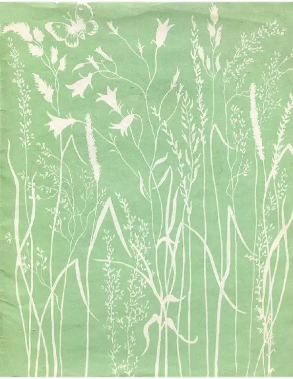 Евгения Трутнева - Грибы - Страница № 19