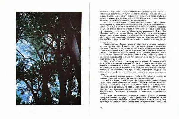 Николай Сладков - Миомбо - Страница № 20