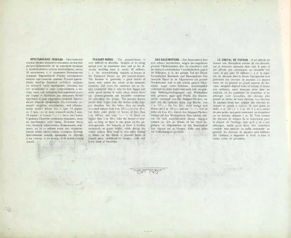 Н. Гулькевич - Типы и породы лошадей Российской Империи - Страница № 5