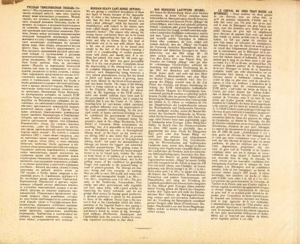Н. Гулькевич - Типы и породы лошадей Российской Империи - Страница № 7