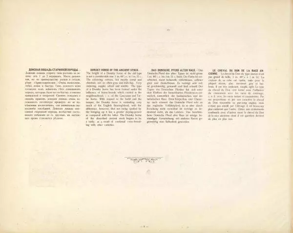 Н. Гулькевич - Типы и породы лошадей Российской Империи - Страница № 23