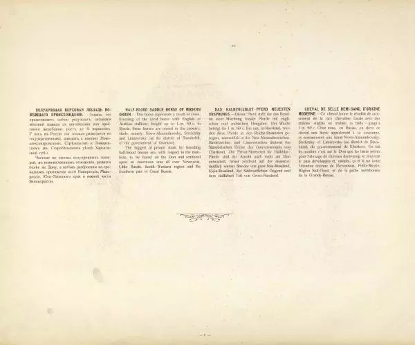 Н. Гулькевич - Типы и породы лошадей Российской Империи - Страница № 29