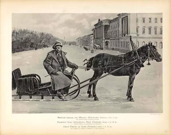 Н. Гулькевич - Типы и породы лошадей Российской Империи - Страница № 56