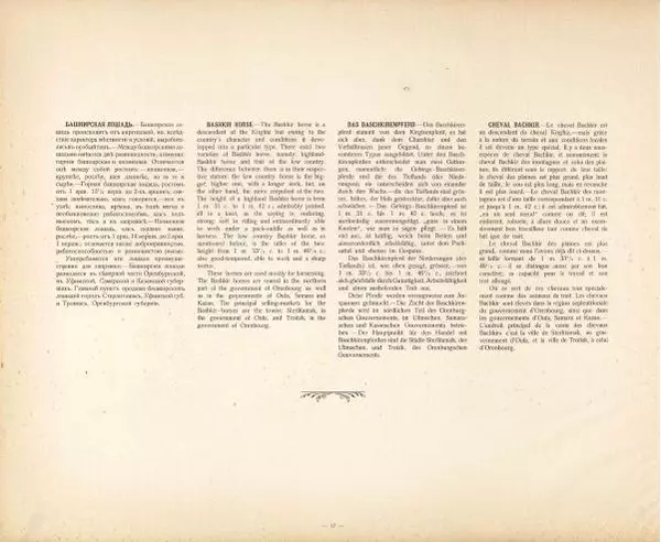 Н. Гулькевич - Типы и породы лошадей Российской Империи - Страница № 66