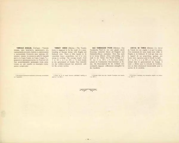 Н. Гулькевич - Типы и породы лошадей Российской Империи - Страница № 88