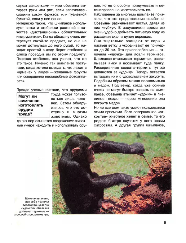 Витус Дрёшер - Человекообразные обезьяны - Страница № 10