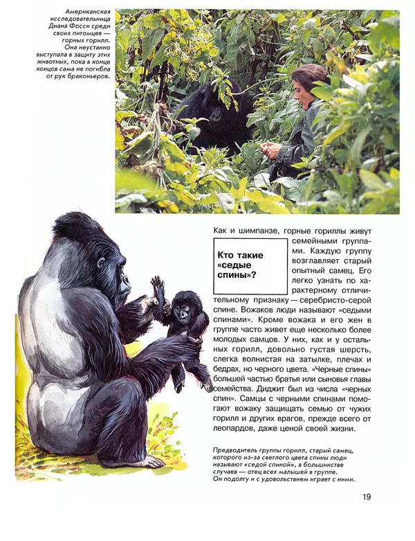 Витус Дрёшер - Человекообразные обезьяны - Страница № 20