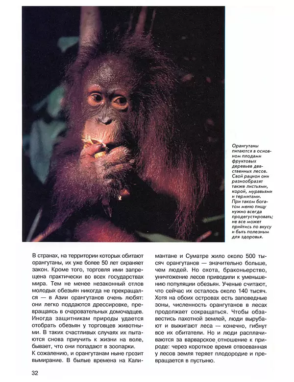 Витус Дрёшер - Человекообразные обезьяны - Страница № 33