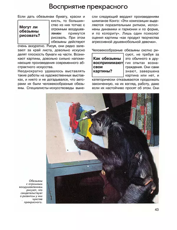 Витус Дрёшер - Человекообразные обезьяны - Страница № 44