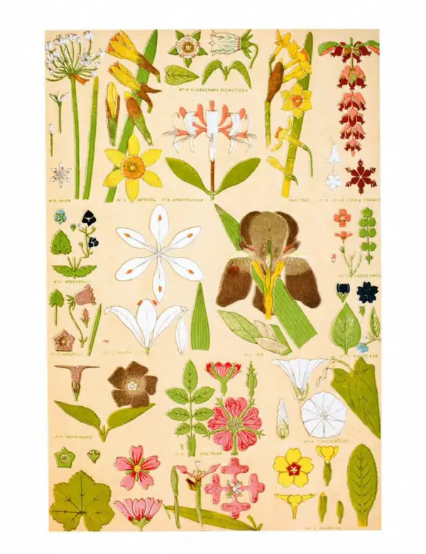 Шарлотта Филл - История дизайна - Страница № 161