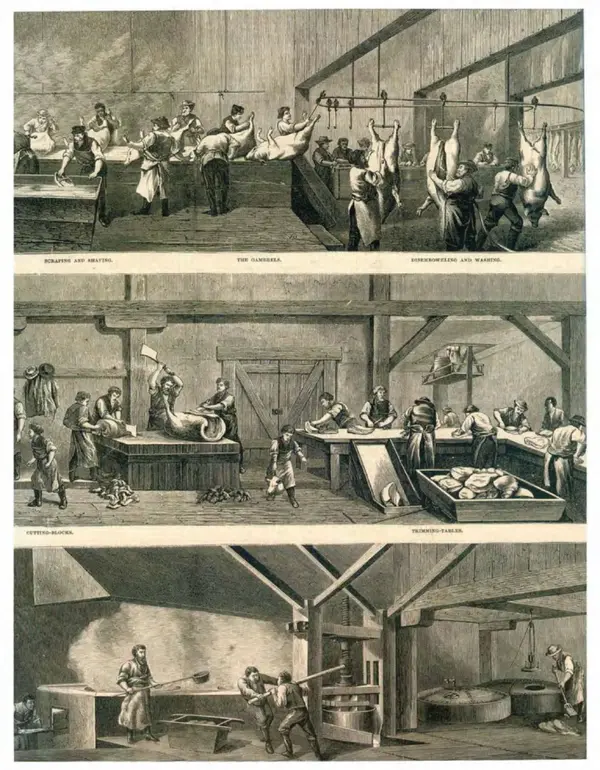 Шарлотта Филл - История дизайна - Страница № 244