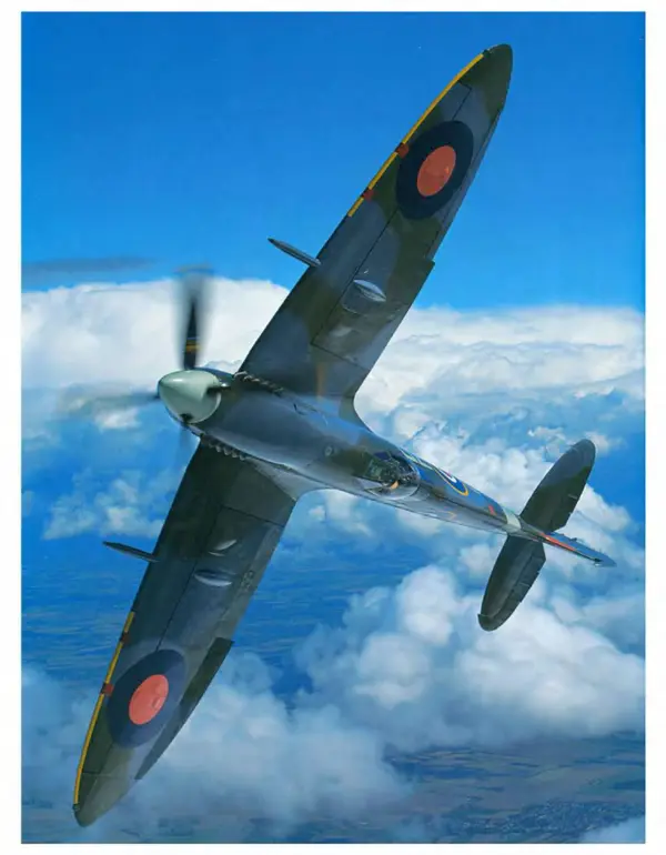 Шарлотта Филл - История дизайна - Страница № 328