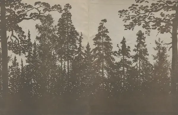 Борис Розен - Химия зеленого золота - Страница № 2