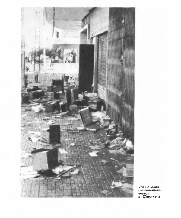 Валериан Скворцов - Кампучия: спасение свободы - Страница № 76