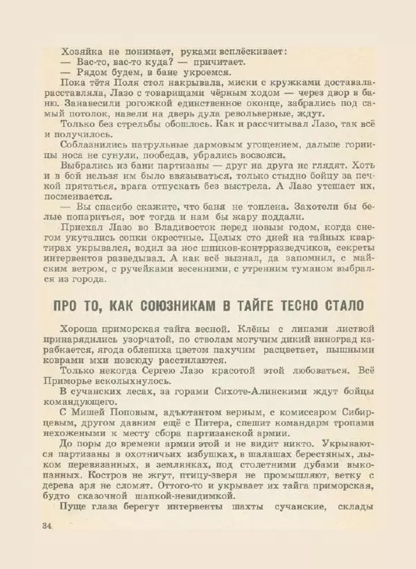 Иван Воронин - Сказы о Сергее Лазо - Страница № 37