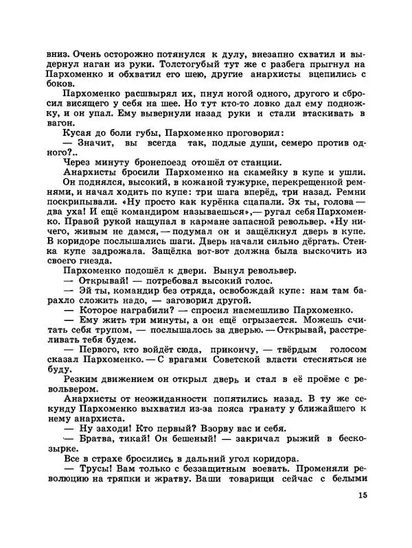 Юрий Каменский - Начдив четырнадцать - Страница № 16