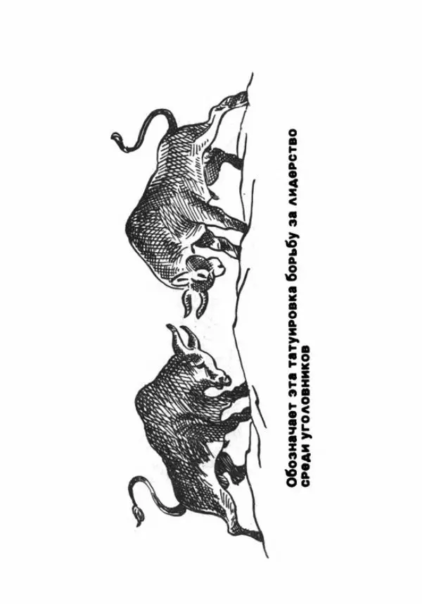 Эдвард Максимовский - Маньяки в Москве - Страница № 345