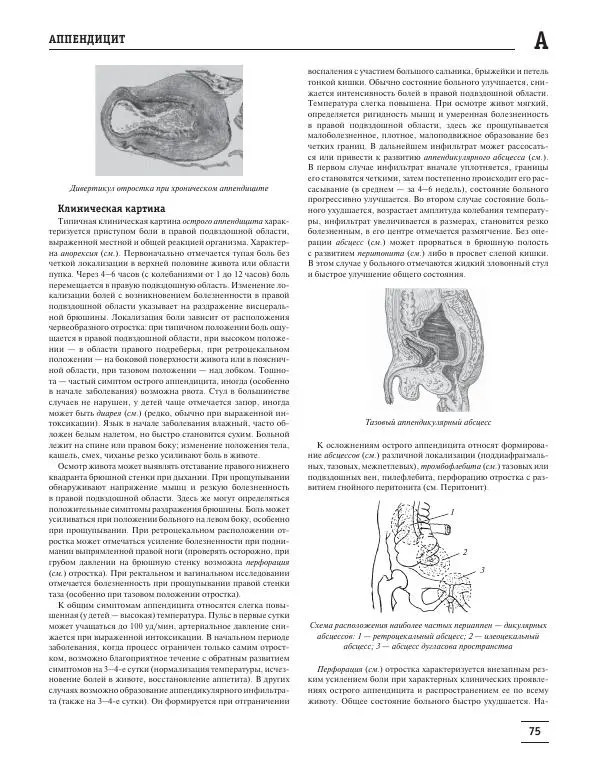 Юрий Елисеев - Большая медицинская энциклопедия - Страница № 76