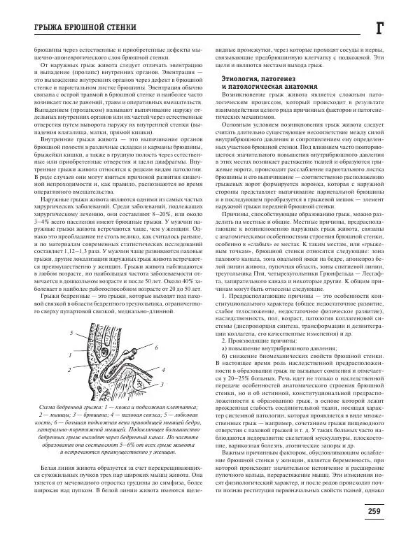 Юрий Елисеев - Большая медицинская энциклопедия - Страница № 260