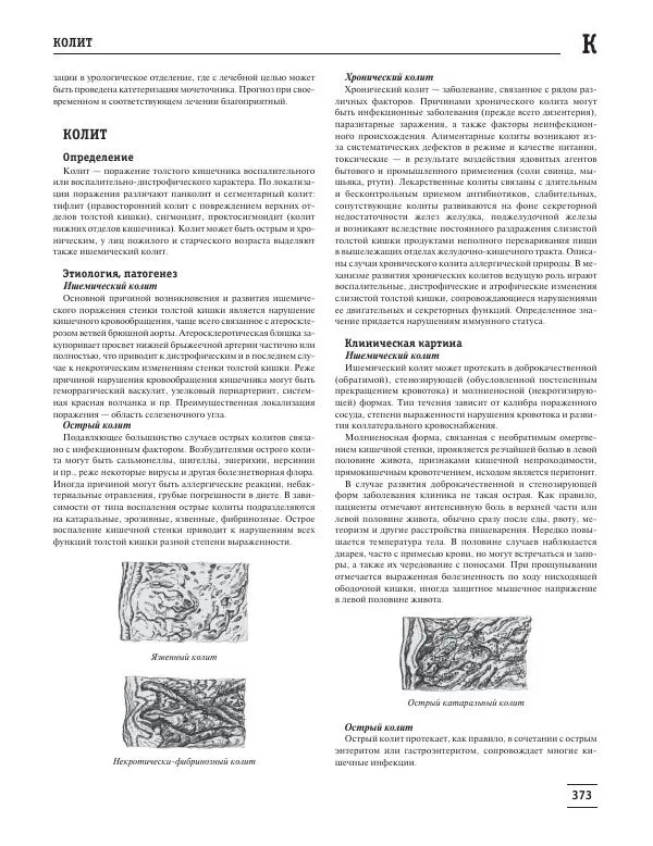 Юрий Елисеев - Большая медицинская энциклопедия - Страница № 374