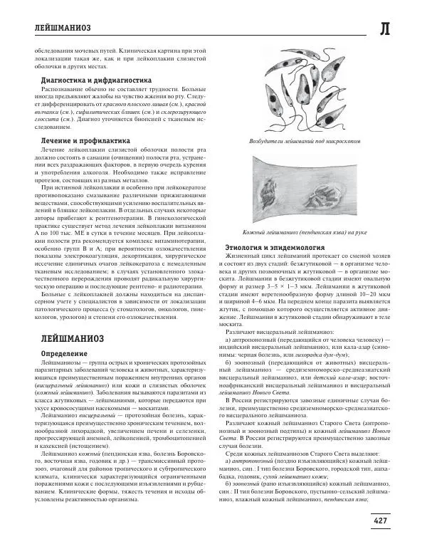 Юрий Елисеев - Большая медицинская энциклопедия - Страница № 428