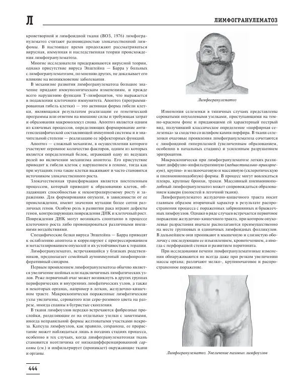 Юрий Елисеев - Большая медицинская энциклопедия - Страница № 445