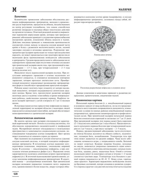 Юрий Елисеев - Большая медицинская энциклопедия - Страница № 529