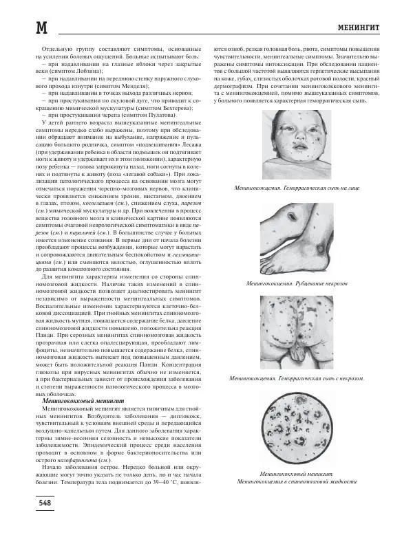 Юрий Елисеев - Большая медицинская энциклопедия - Страница № 549