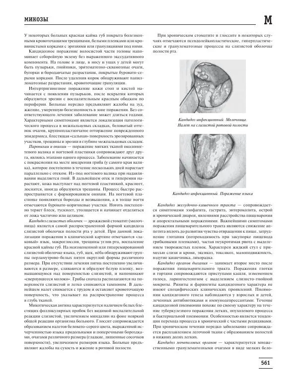Юрий Елисеев - Большая медицинская энциклопедия - Страница № 562