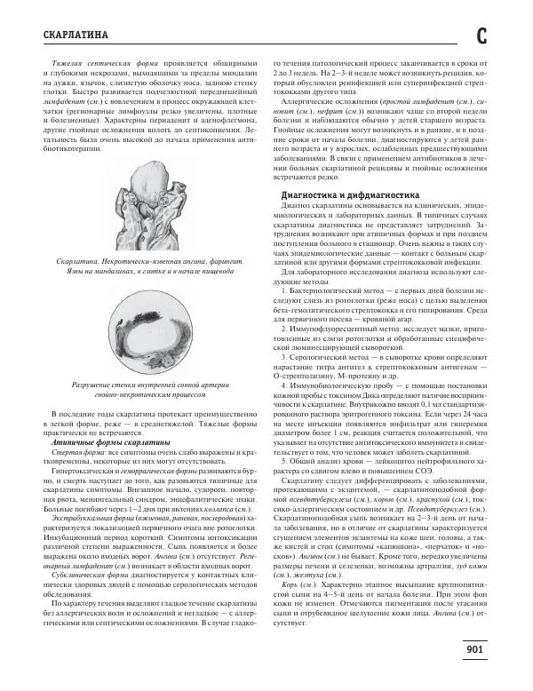 Юрий Елисеев - Большая медицинская энциклопедия - Страница № 902