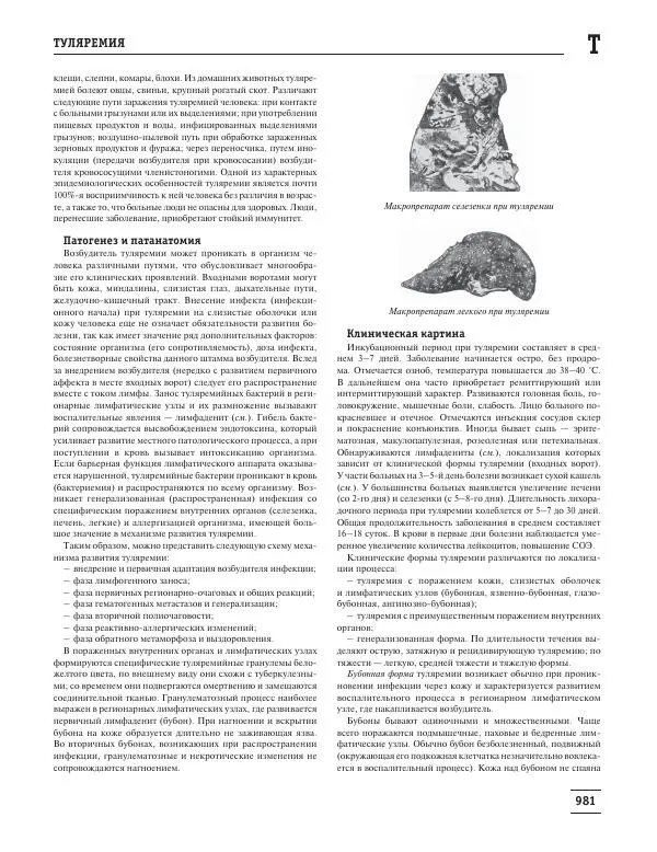 Юрий Елисеев - Большая медицинская энциклопедия - Страница № 982