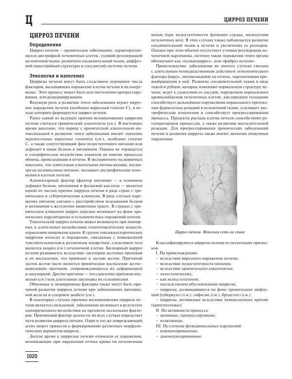 Юрий Елисеев - Большая медицинская энциклопедия - Страница № 1021