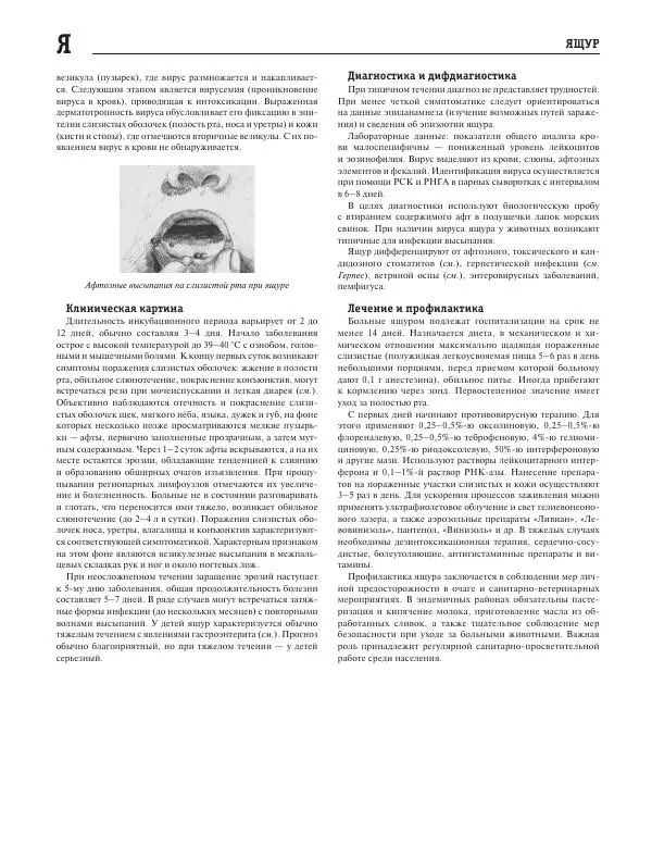 Юрий Елисеев - Большая медицинская энциклопедия - Страница № 1063