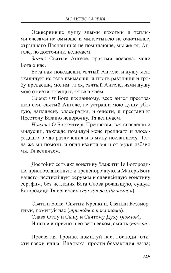  - Иван Грозный. Государь - Страница № 246