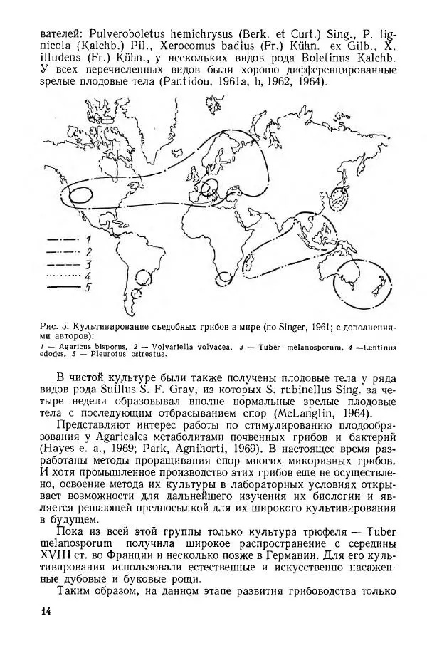 Ирина Дудка - Промышленное культивирование съедобных грибов - Страница № 15