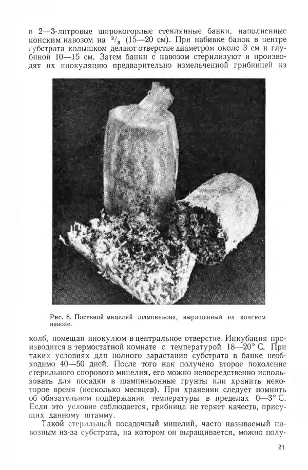 Ирина Дудка - Промышленное культивирование съедобных грибов - Страница № 22