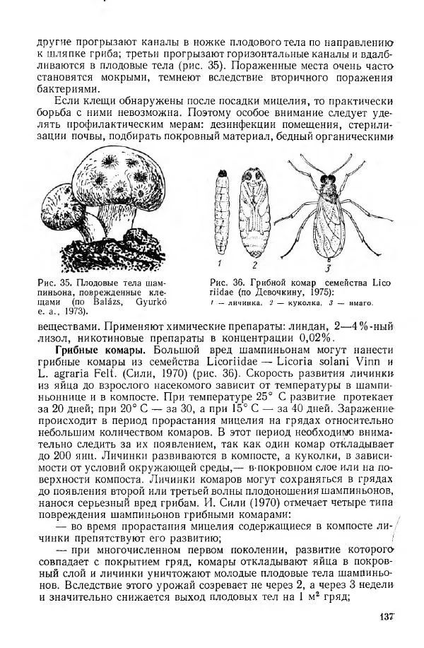 Ирина Дудка - Промышленное культивирование съедобных грибов - Страница № 138