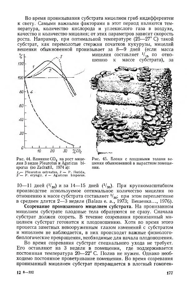 Ирина Дудка - Промышленное культивирование съедобных грибов - Страница № 178