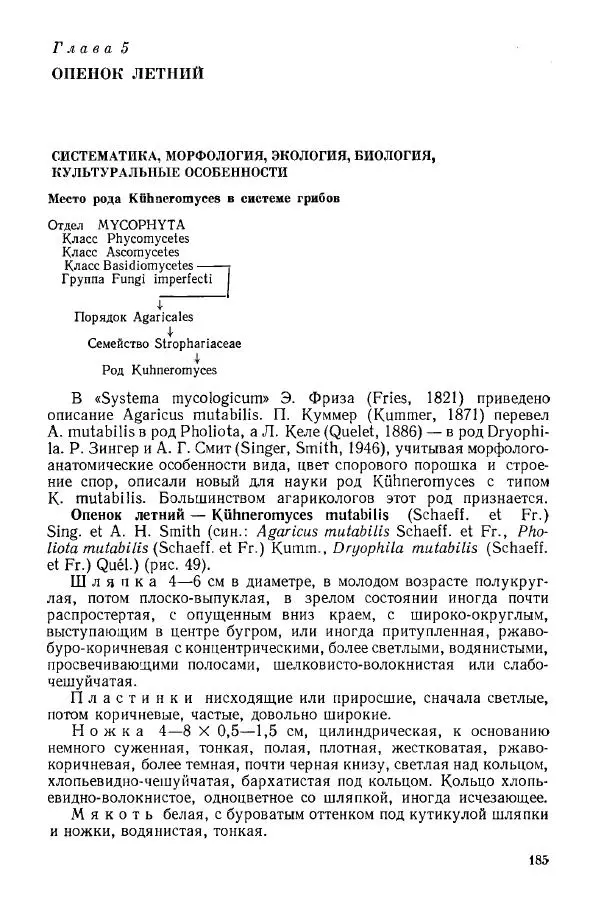 Ирина Дудка - Промышленное культивирование съедобных грибов - Страница № 186