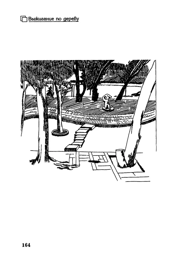 Владимир Панченко - Выжигание по дереву - Страница № 164